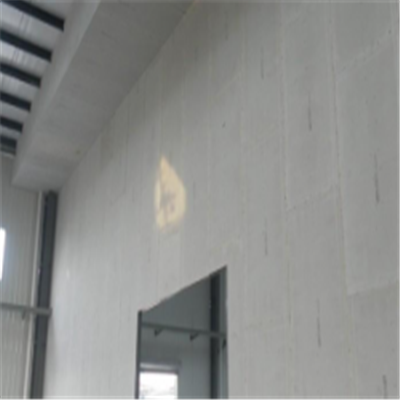 虞城宁波ALC板|EPS加气板隔墙与混凝土整浇联接的实验研讨